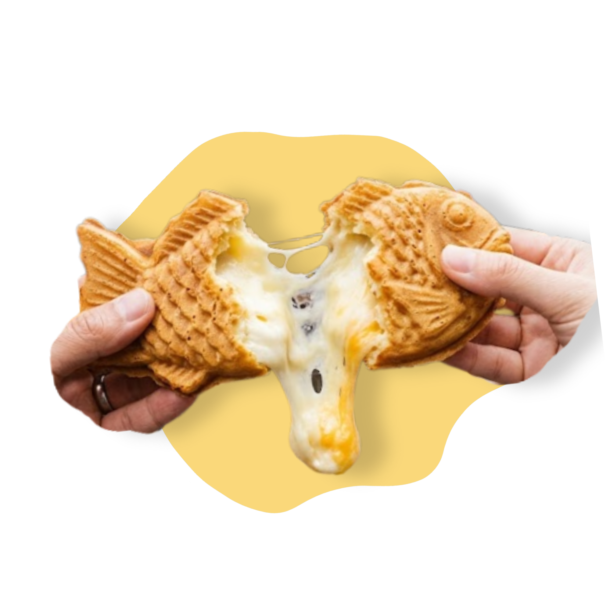 meilleur-mochi-taiyaki-mozzarella-paris-3-marais